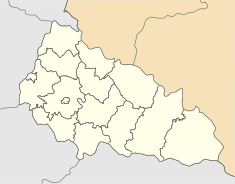 Тячев (Закарпатская область)
