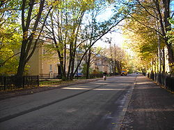Dibunovskaya street.JPG