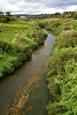 Река Друйка в селе Друя