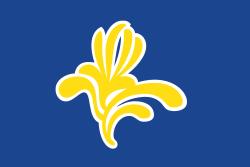 Флаг Брюссельского столичного округа