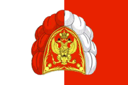 Flag of Shapkinskoe (Leningrad oblast).png