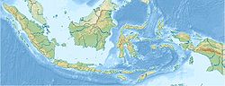 Капуас (река, впадает в Южно-Китайское море) (Индонезия)