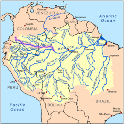 Жапура в бассейне Амазонки
