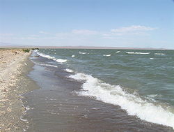 Западный берег озера Хара-Нур