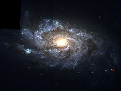 NGC 1084 Hubble WikiSky.jpg