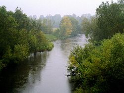 Русло реки осенью
