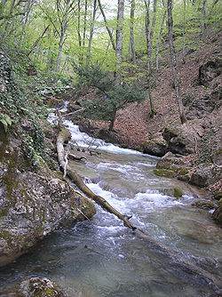 река в районе водопада Джур-Джур