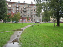 Streets Sankt-Peterburg sent2011 4005.jpg