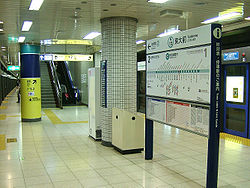 TokyoMetro-N12-Todaimae-station-platform.jpg
