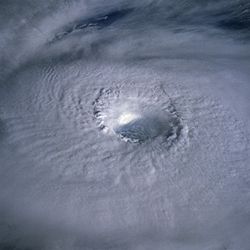 Typhoon Odessa 1985.jpg