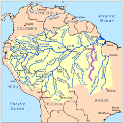 Карта бассейна реки Амазонки. Шингу выделена фиолетовым цветом.