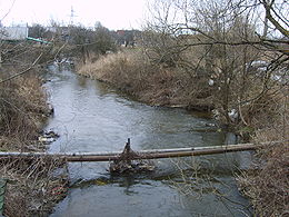 Дудергофка близ Горелова (март, 2008)