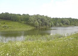 Pond in Khutor Medvezhy.JPG