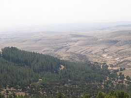 Yatir Forest, Israel no.1.jpg