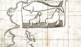 Chitrow - Seekuh, Seebaer und Seeloewe (Ausschnitt aus einer Karte).jpg