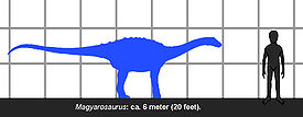 Magyarosaurus dacus