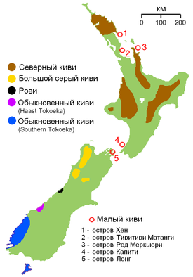 Ареал обитания рови (Apteryx rowi)