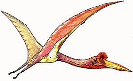 Кетцалькоатль (род птерозавров)