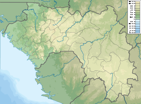 Бадиар (национальный парк) (Гвинея)