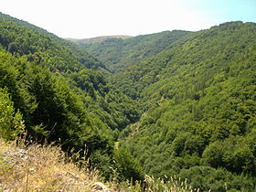 Osogovo-Kameninchitsa-gorge.jpg