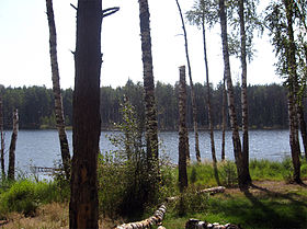 Озеро Святое Щепачихинское (западный берег).
