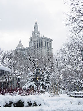 New York Central Park winter.jpg