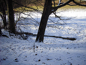Lambach Quelle Winter.jpg