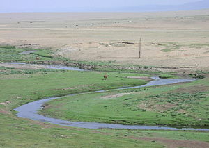 Mongolian steppe.jpg