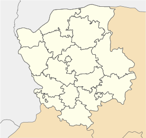 Горичев (Волынская область)
