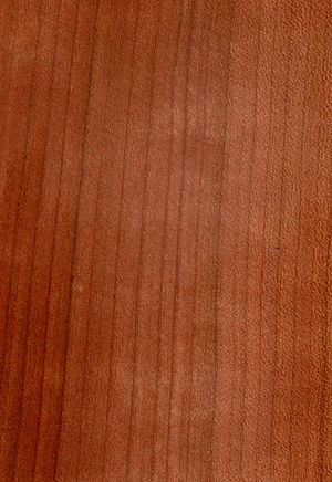 Wood prunus avium.jpg