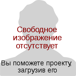 Борис Петрович Иванов
