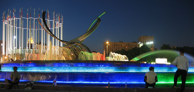 Fountain moscow europe square night bird.png