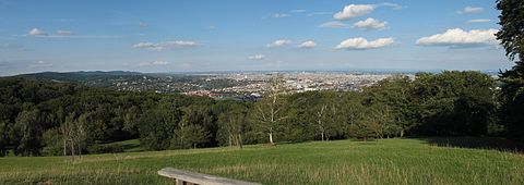 Wiener Blick Panorama.jpg