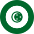 Egyptian Air Force roundel (1945-1958).svg
