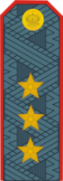 Russian police colonel general.png