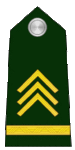 Narednik 1. klase