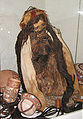 Nazca Mummy in the Museo Historical Regional, Cusco.jpg