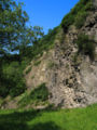 Amoeneburg Basalt.jpg