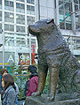 Статуя собаке по имени «Хатико» в Сибуя, Токио.
