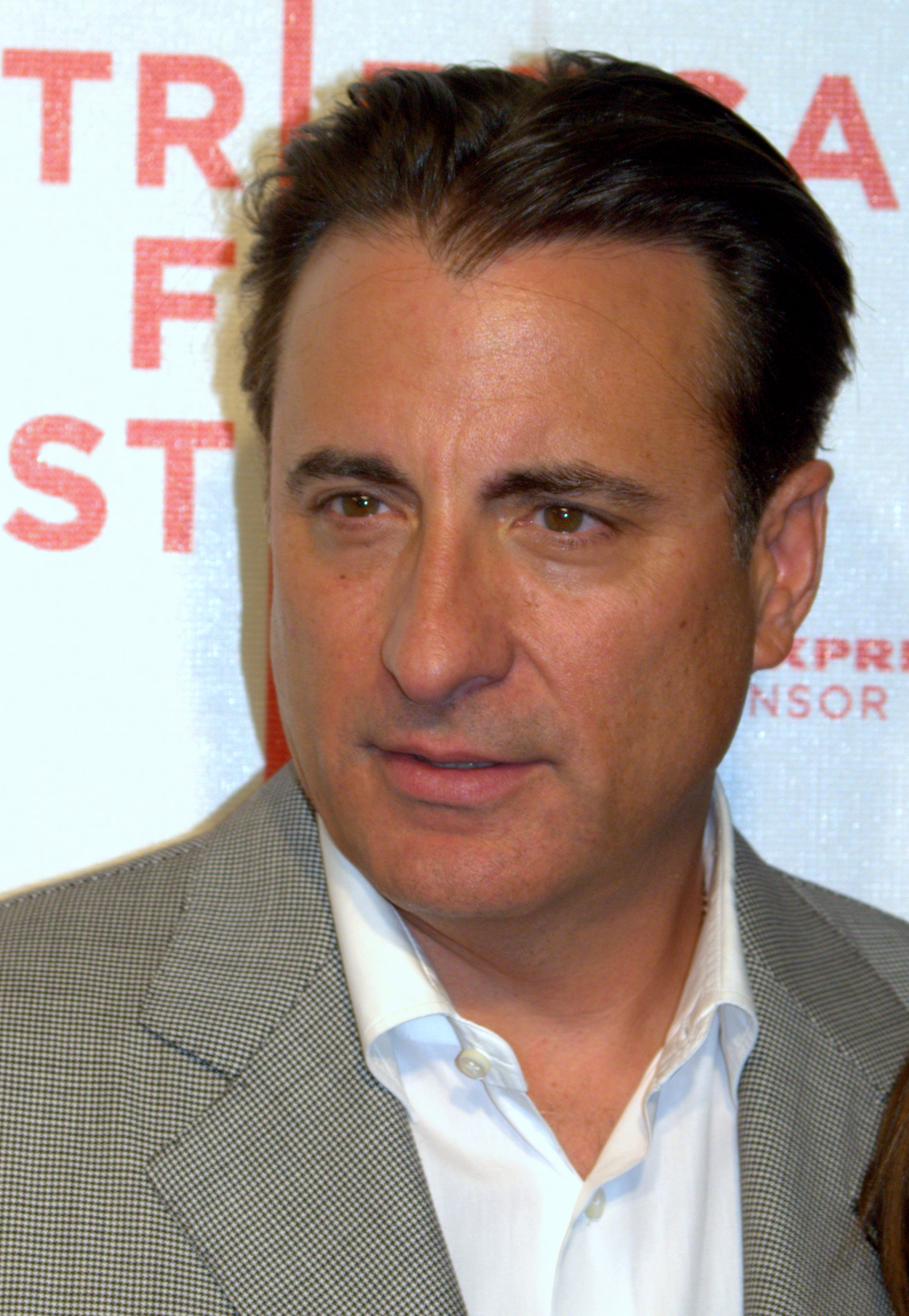 http://dic.academic.ru/pictures/wiki/files/65/Andy_Garcia_portrait_2009_City_Island.jpg