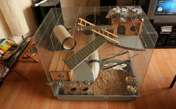 Как сделать клетку для крысы в домашних условиях