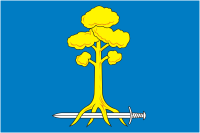 Flag of Sertolovo (Leningrad oblast).png