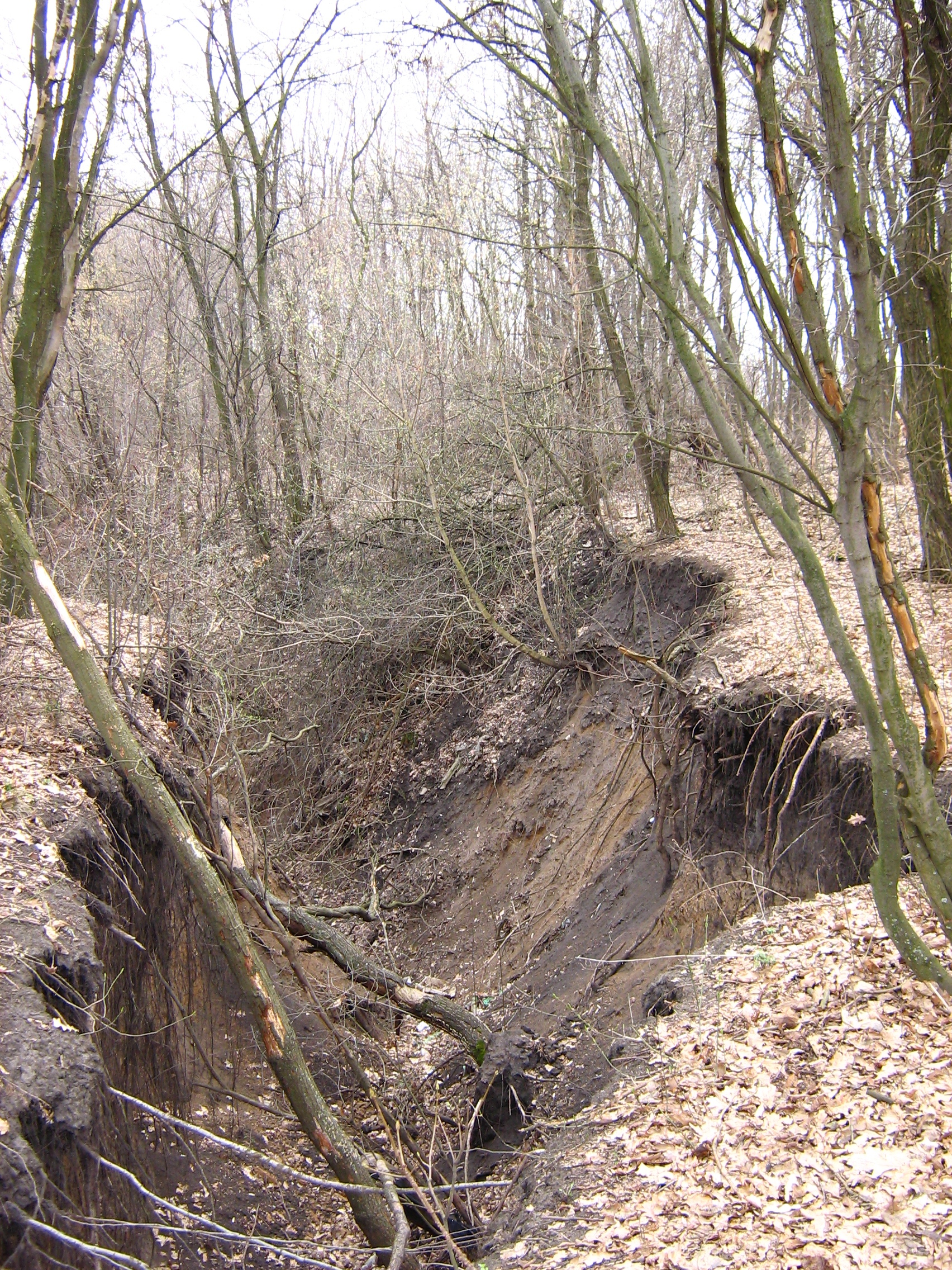 http://dic.academic.ru/pictures/wiki/files/71/Gully_in_the_Kharkov_region.jpg