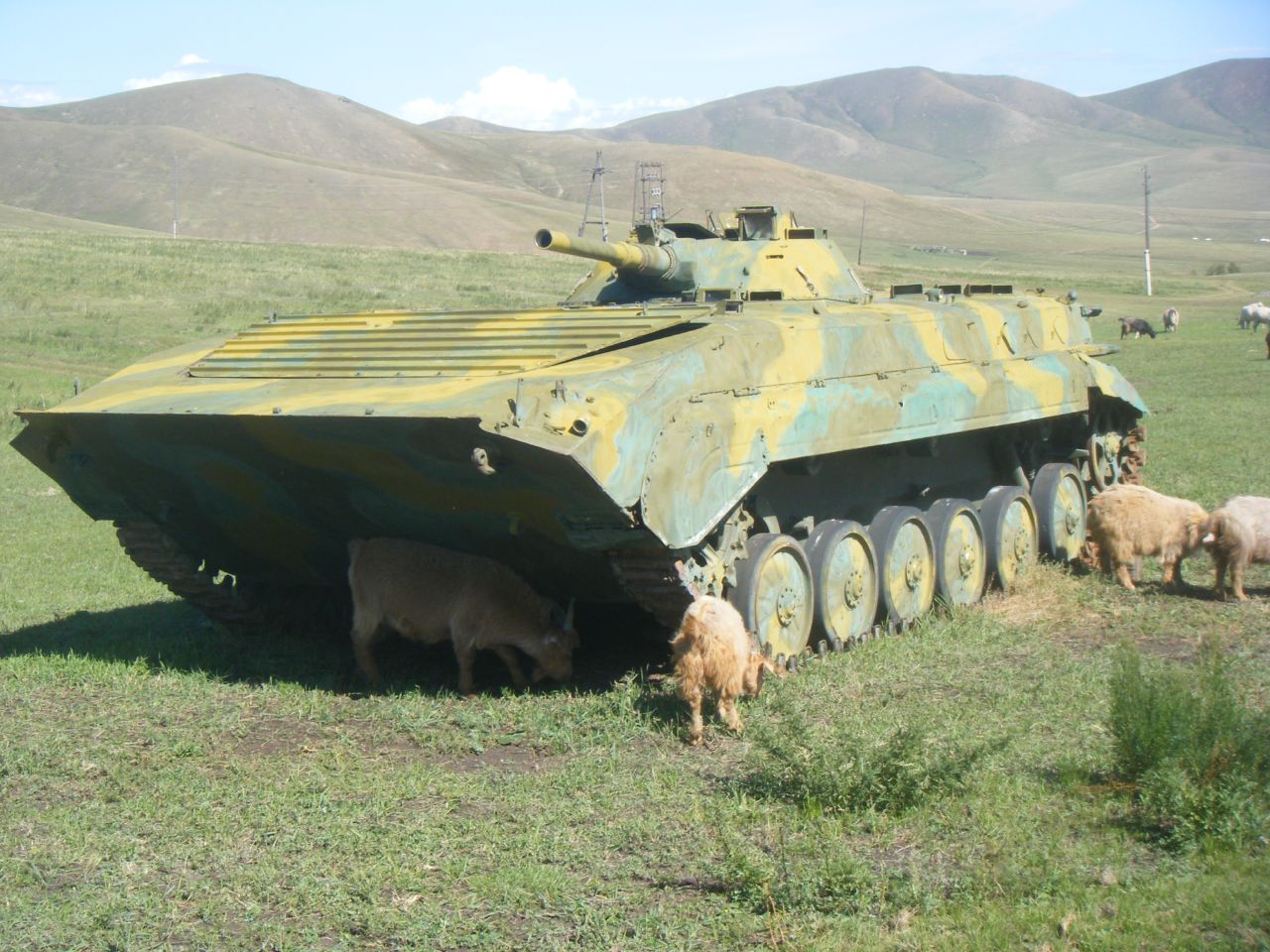 Mongolian_BMP-1_2.jpg