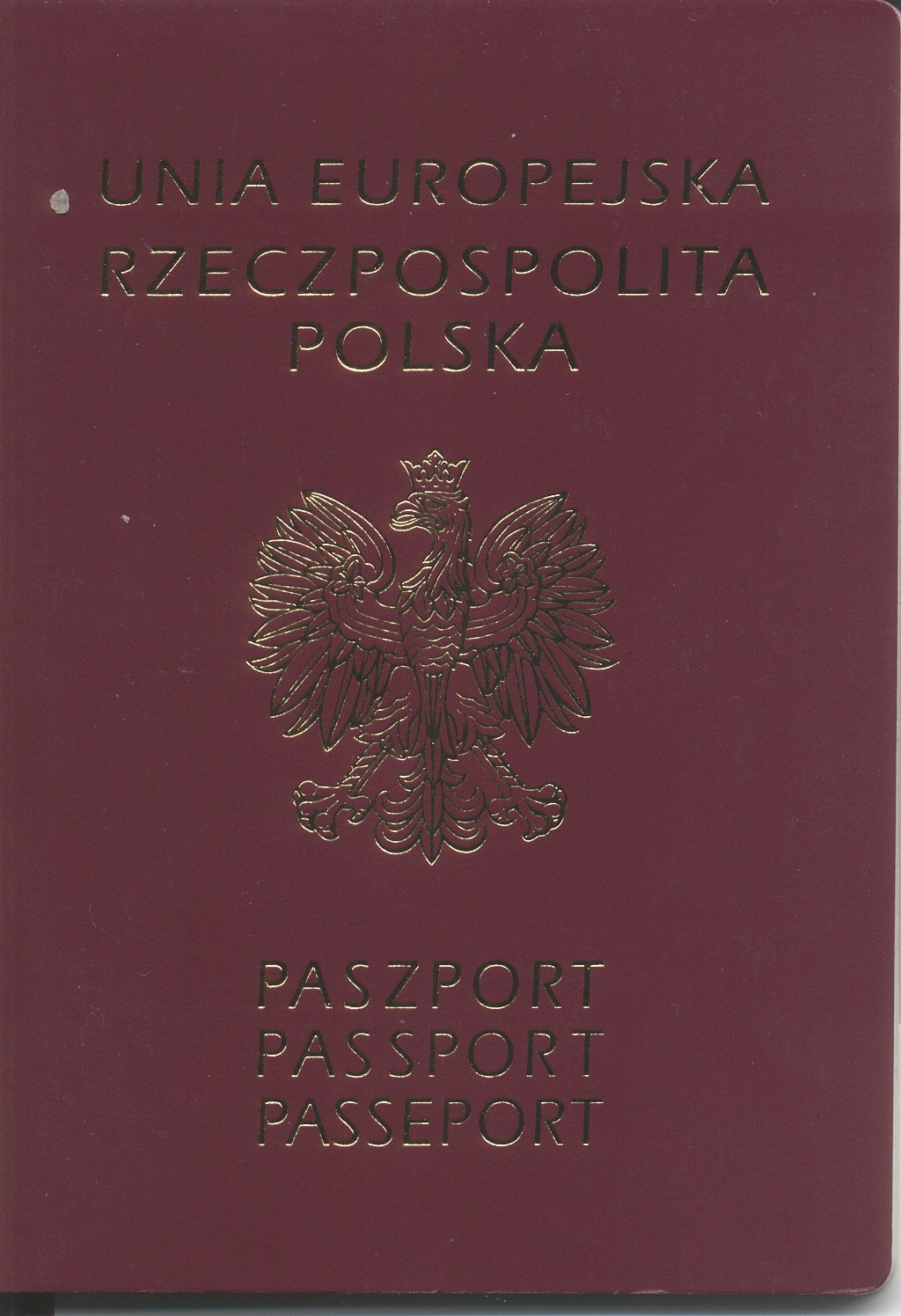 http://dic.academic.ru/pictures/wiki/files/80/Pl_Passport_new.jpg