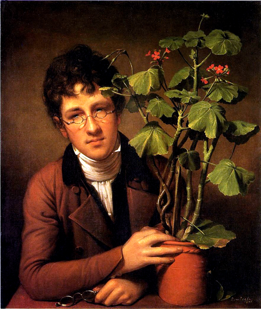 http://dic.academic.ru/pictures/wiki/files/82/Rubens_Peale_with_a_Geranium.jpg