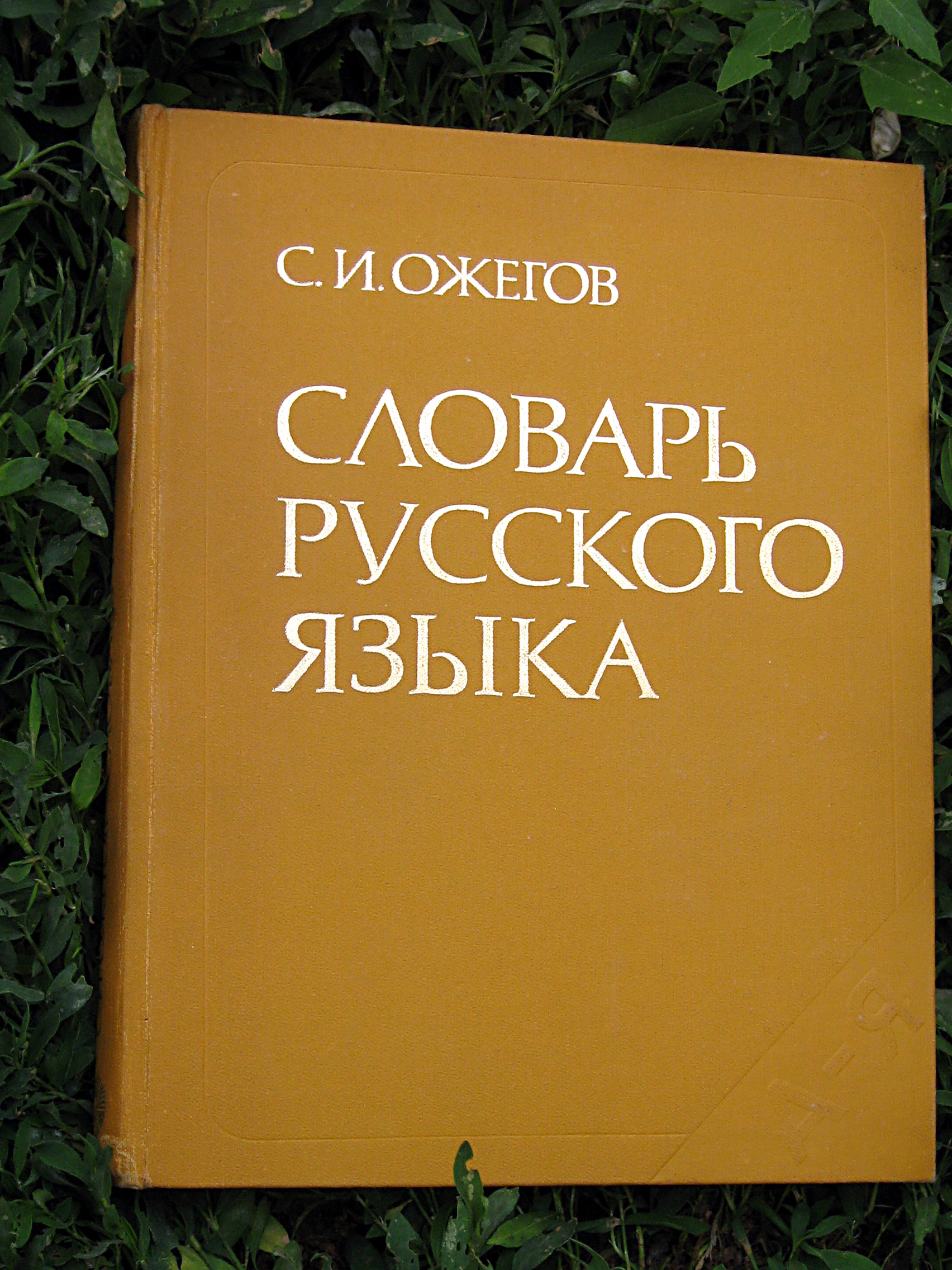 Russian_dictionary.jpg