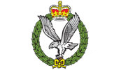 UK Army badge.JPG