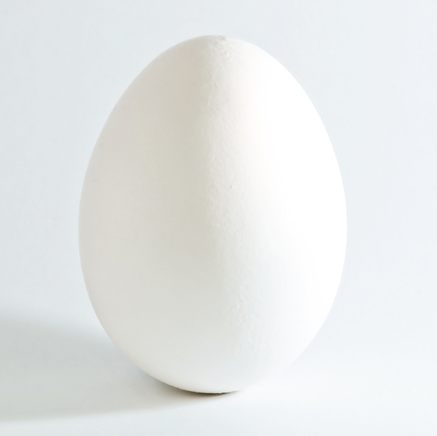 http://dic.academic.ru/pictures/wiki/files/87/White_chicken_egg_square.jpg