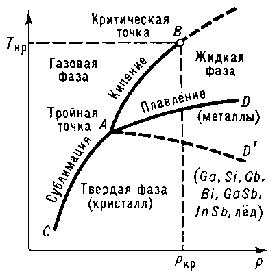 Рис. 1. Диаграмма состояния чистого вещества. Линии AD и AD' — кривые плавления, по линии AD' плавятся вещества с аномальным изменением объёма при плавлении.